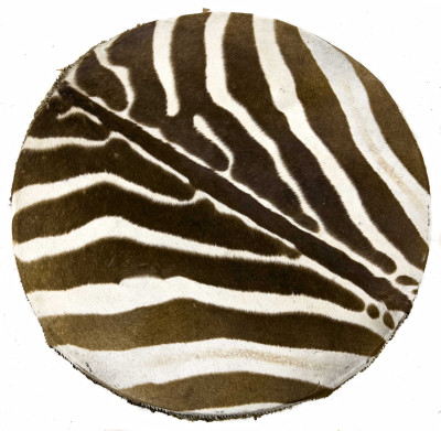 Two Zebra Skin Drum Coffee Tables