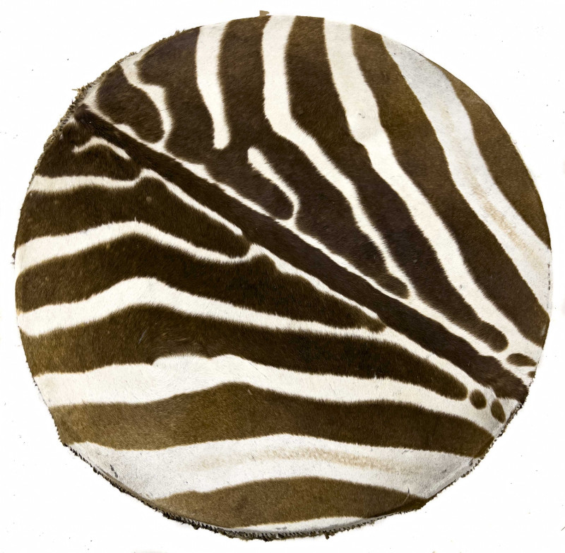 Two Zebra Skin Drum Coffee Tables