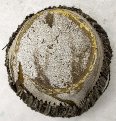 Two Zebra Skin Drum Coffee Tables