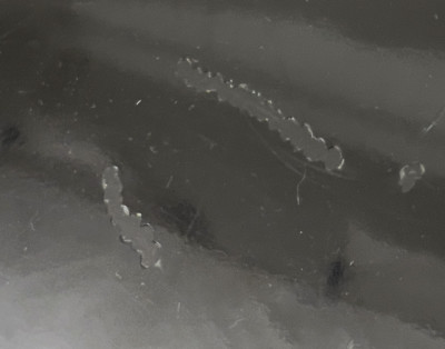 Calvin Klein - Bedside Tables, Pair