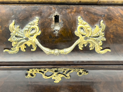 Carved Dutch Bombé Cupboard