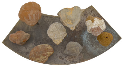 Collection of Eight Ancient Romano-Egyptian Mounted Heads