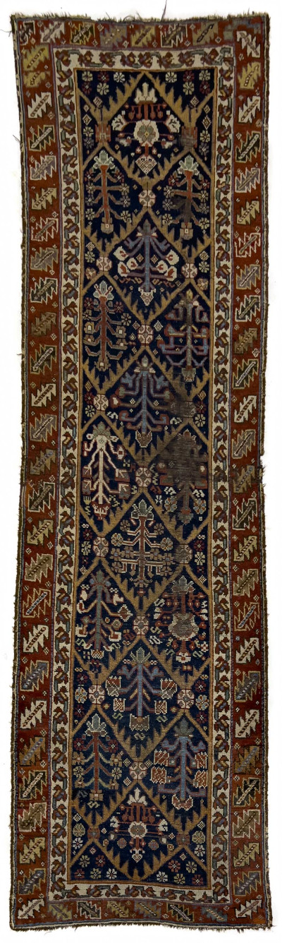 Caucasian Runner