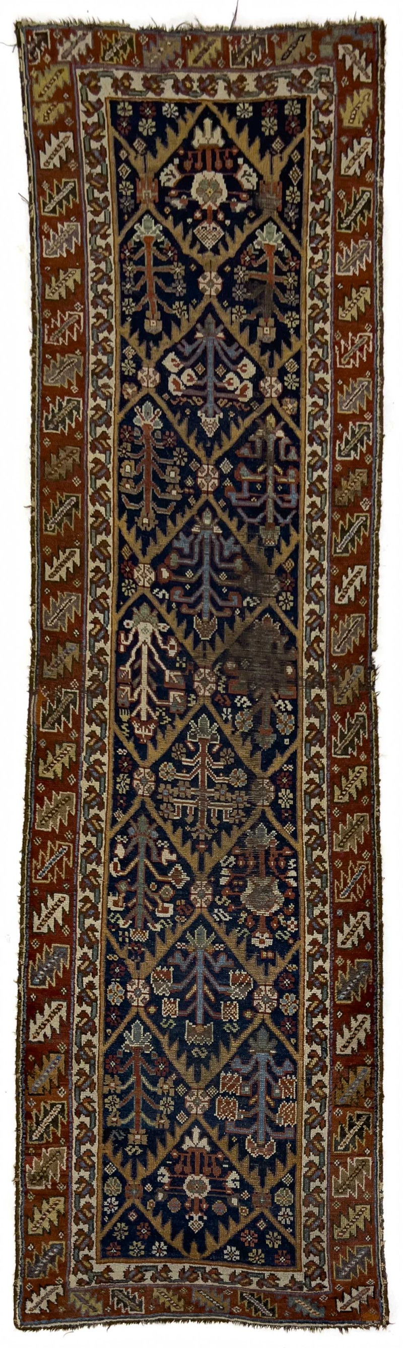 Caucasian Runner