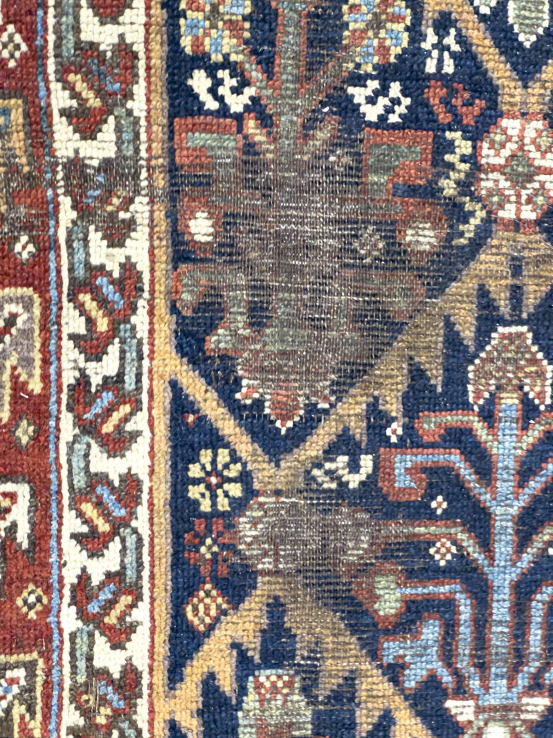 Caucasian Runner