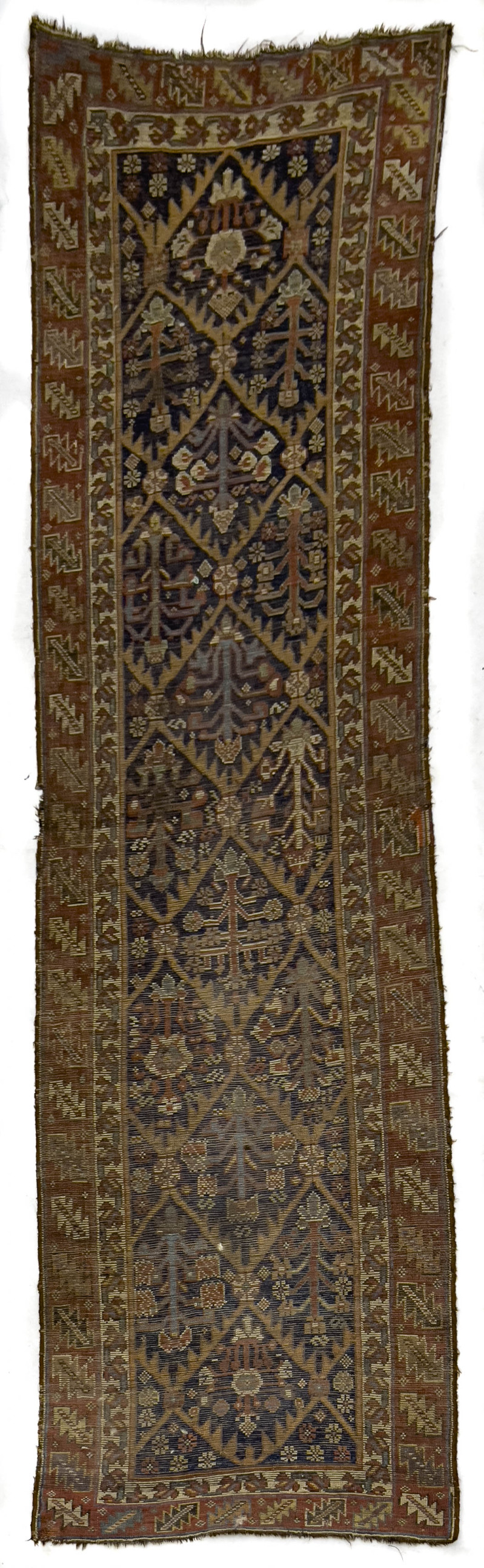 Caucasian Runner