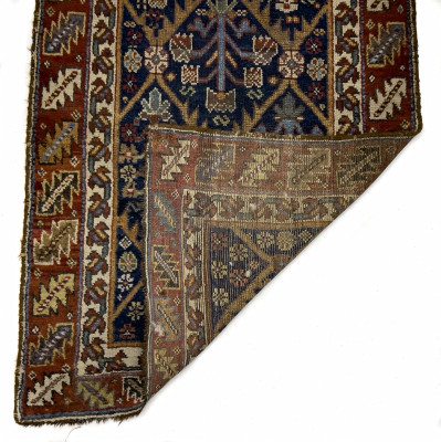 Caucasian Runner