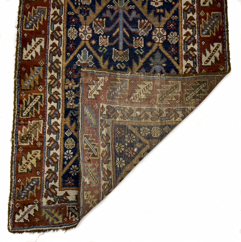 Caucasian Runner