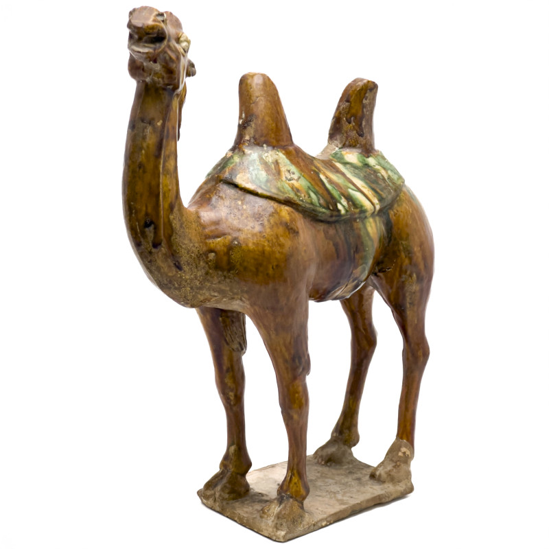 Chinese Bactrian Sancai Glazed Camel