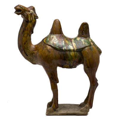 Chinese Bactrian Sancai Glazed Camel
