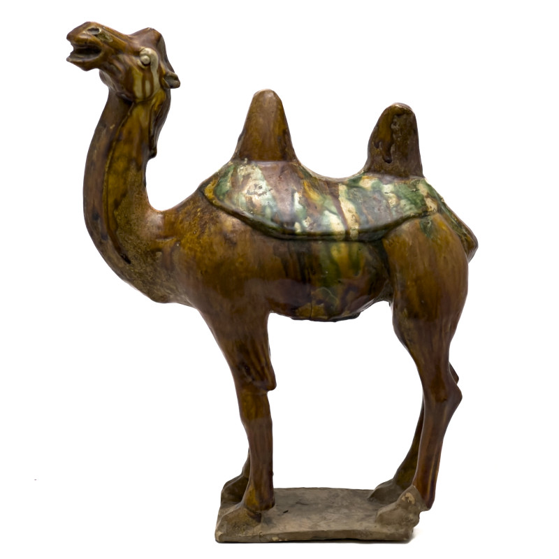 Chinese Bactrian Sancai Glazed Camel