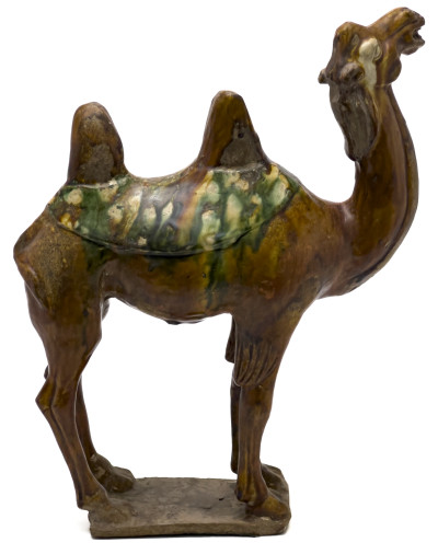 Chinese Bactrian Sancai Glazed Camel
