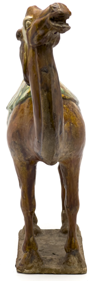 Chinese Bactrian Sancai Glazed Camel