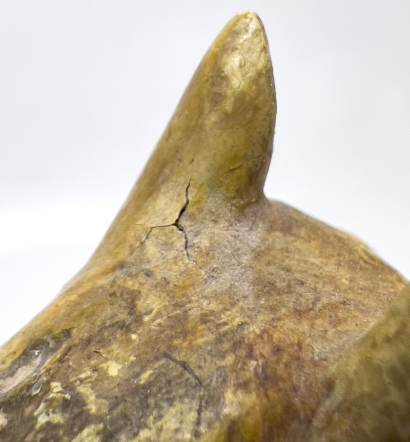Chinese Sancai Glazed Equestrian