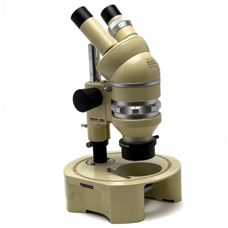 Wild Heerbrugg M5 Stereo Binocular Microscope