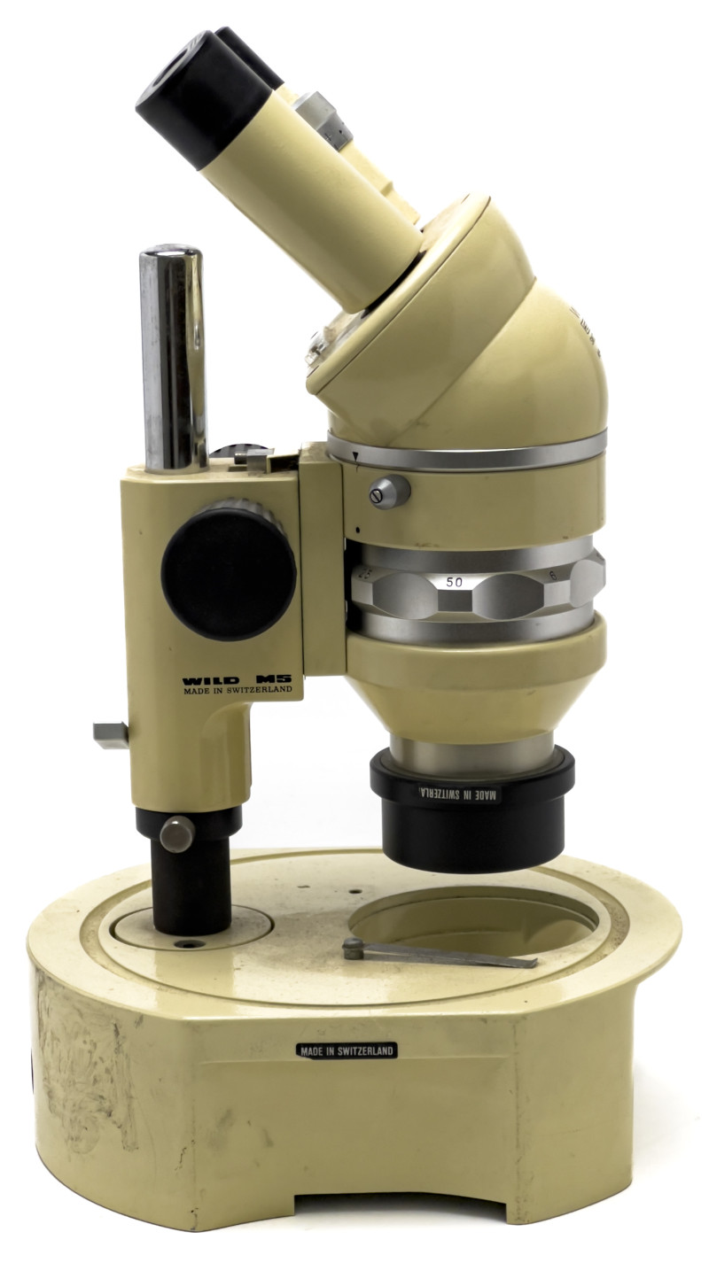 Wild Heerbrugg M5 Stereo Binocular Microscope