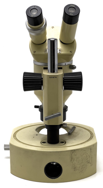 Wild Heerbrugg M5 Stereo Binocular Microscope