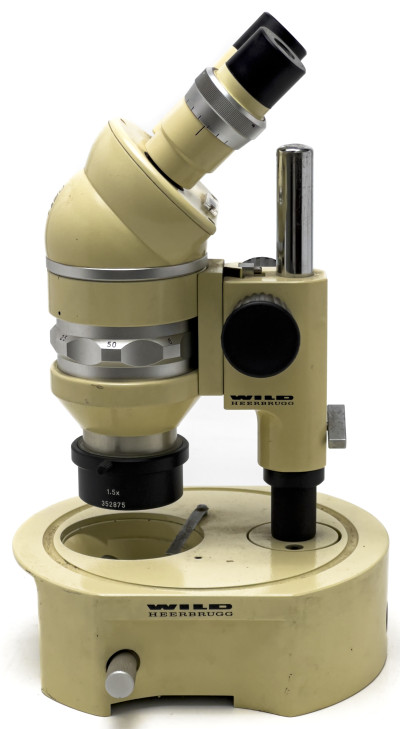 Wild Heerbrugg M5 Stereo Binocular Microscope
