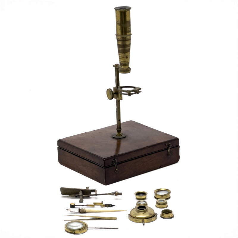 Cary-Gould Cased Compound Microscope