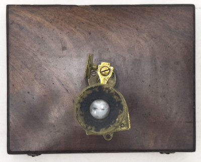 Cary-Gould Cased Compound Microscope