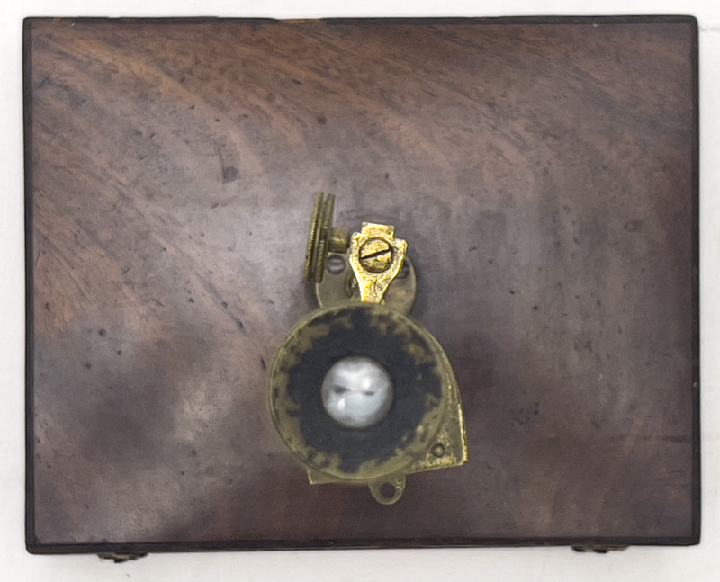 Cary-Gould Cased Compound Microscope