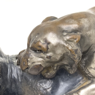 Arthur Strasser - The Invincible