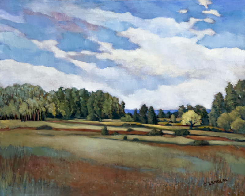 Judi Ekholm - Untitled (Landscape)