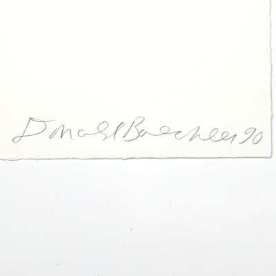 Donald Baechler - Untitled (Ducks)