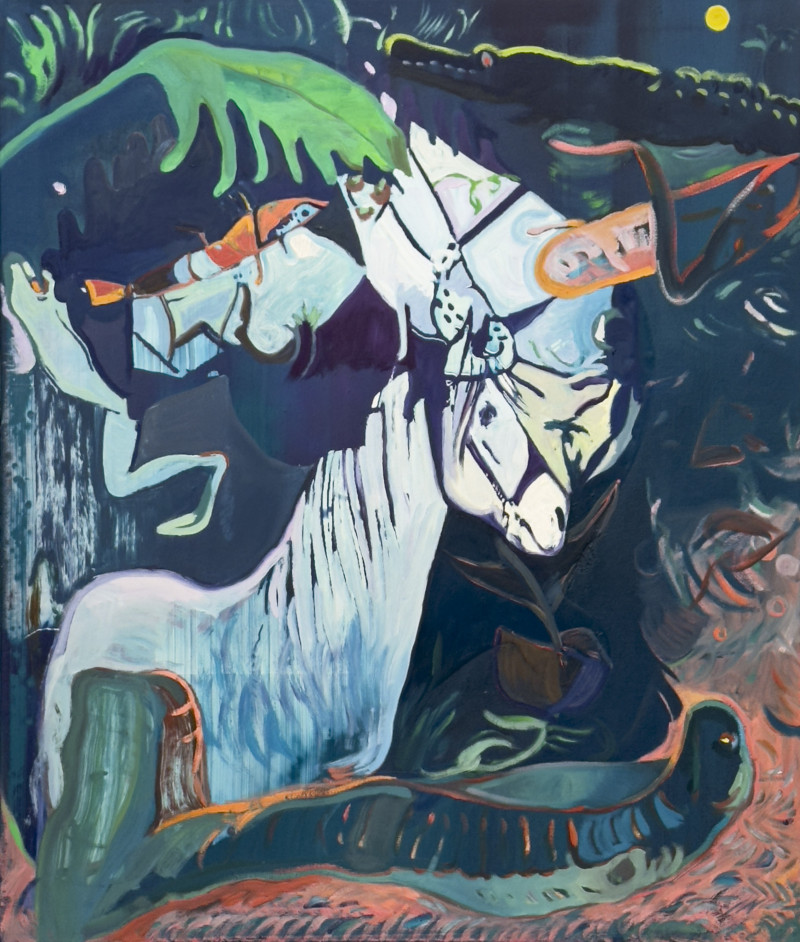 Alex Hubbard - Rock and Roll Animals Vs. Country Western Animals