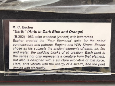 M.C. Escher - Earth (Ants in the Dark Blue and Orange)