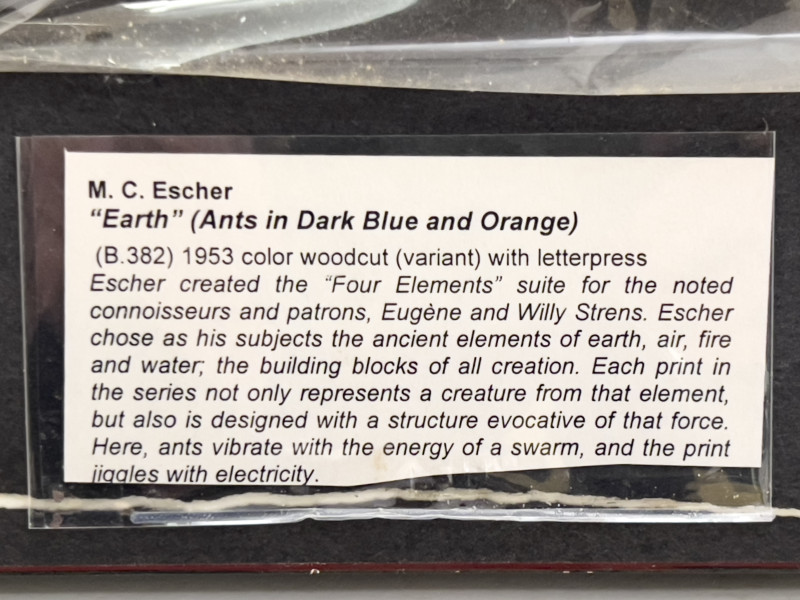 M.C. Escher - Earth (Ants in the Dark Blue and Orange)