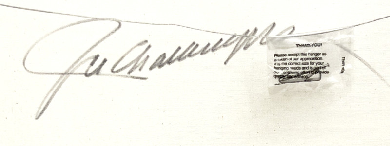 JD Challenger - Chases the Antelope