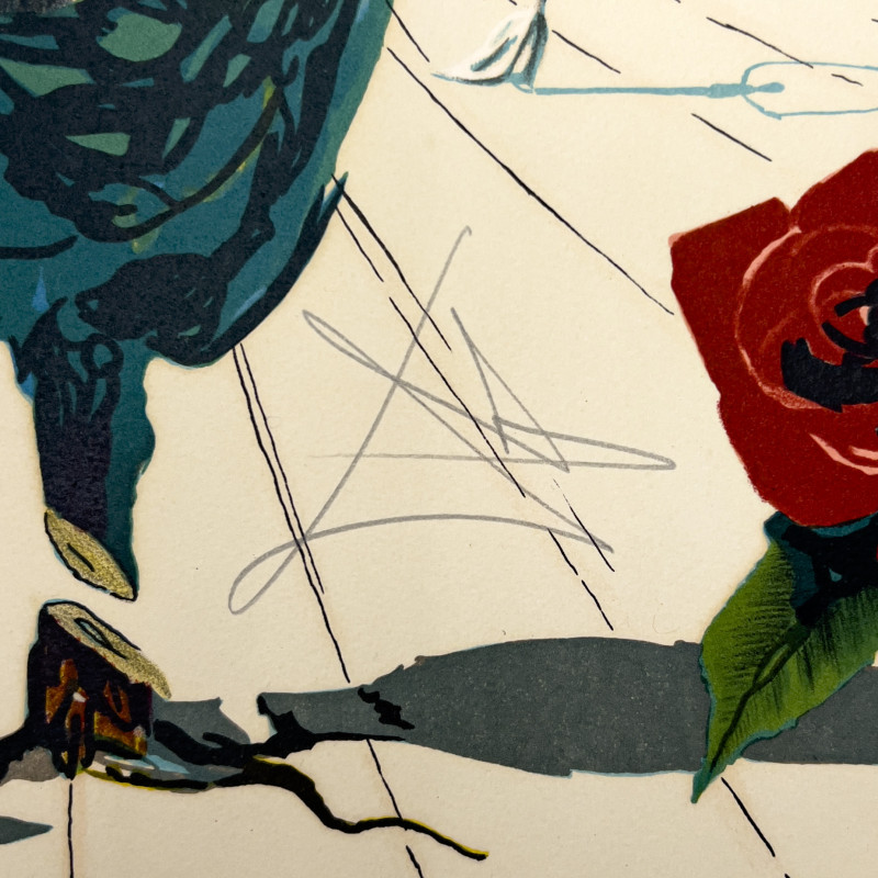 Salvador Dali - Visions Surrealiste, Suite of 4 Editions