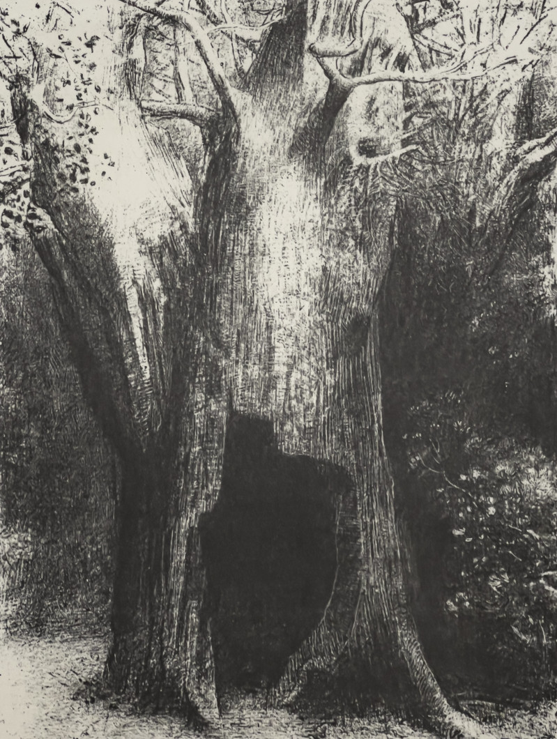 Odilon Redon - The Hollow of the Tree