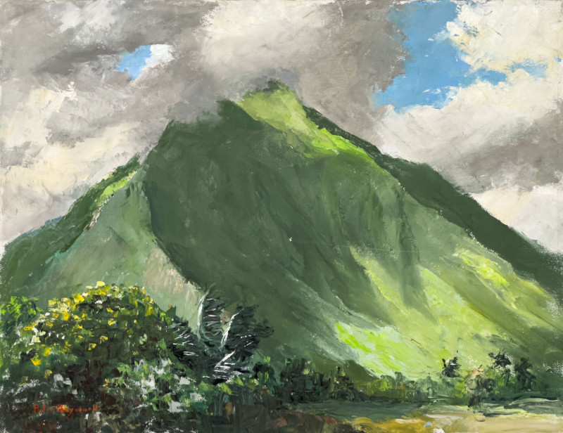 Peter Hayward - Untitled (Hawaii)