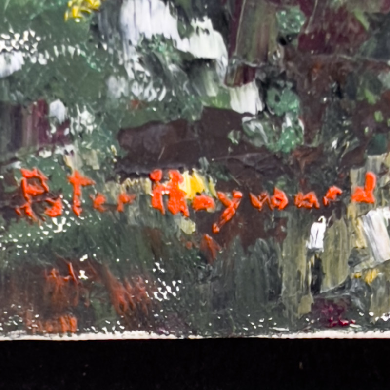 Peter Hayward - Untitled (Hawaii)