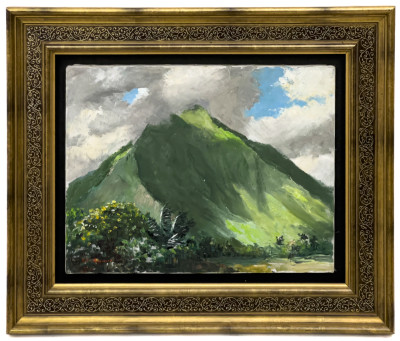 Peter Hayward - Untitled (Hawaii)