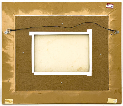 Peter Hayward - Untitled (Hawaii)