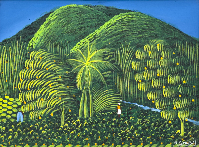 Henri-Robert Brésil - Hillside