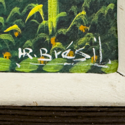 Henri-Robert Brésil - Hillside