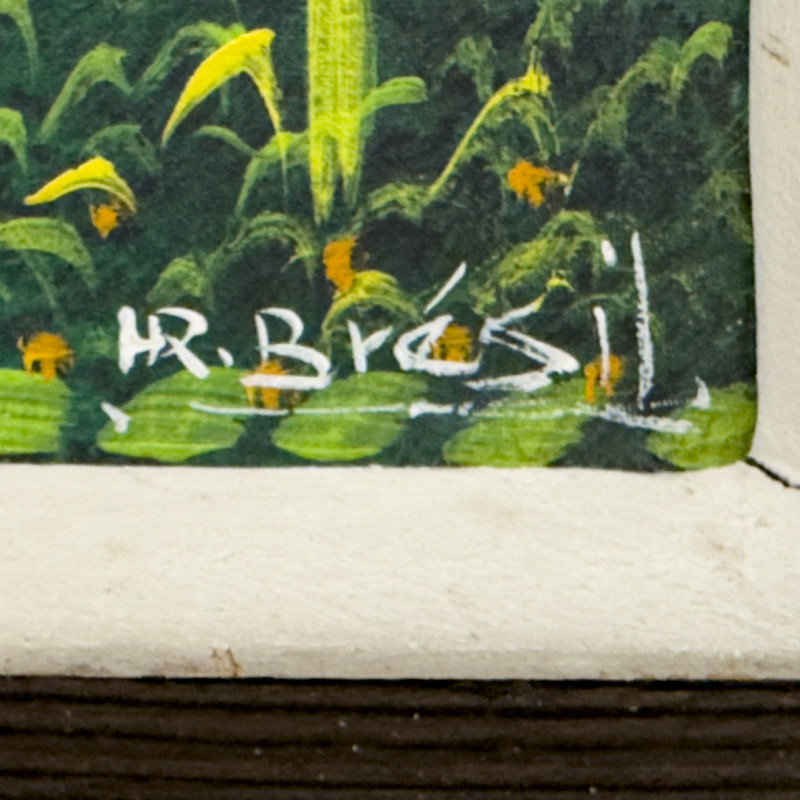 Henri-Robert Brésil - Hillside