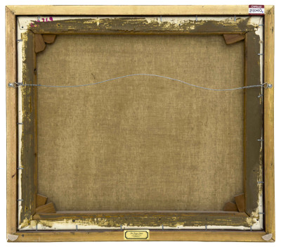 Zakkie Eloff - Untitled (Cheetah)