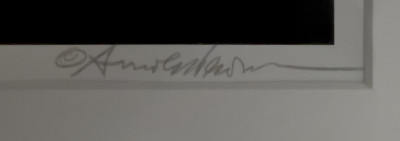 Portraits of Sam Kootz by Arnold Newman and Others, Group of 4