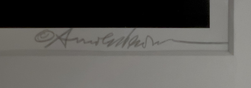 Portraits of Sam Kootz by Arnold Newman and Others, Group of 4