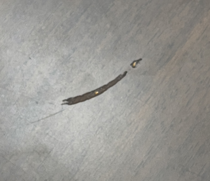 Calvin Klein - Dresser