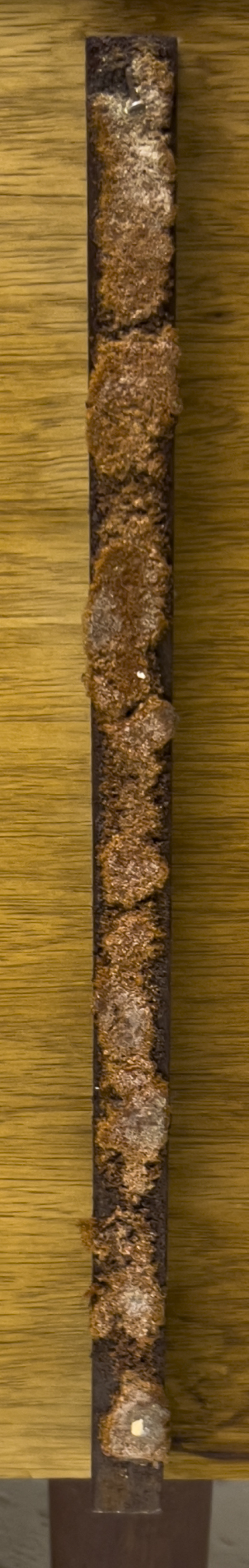 Hans Wegner - Daybed