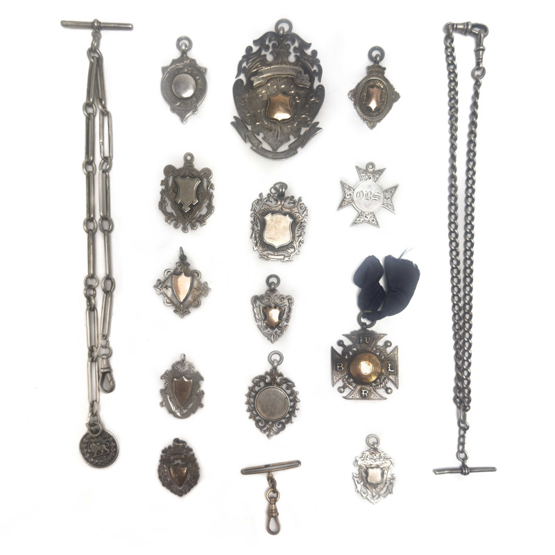 Charms and Watch Chains, Group of 16
