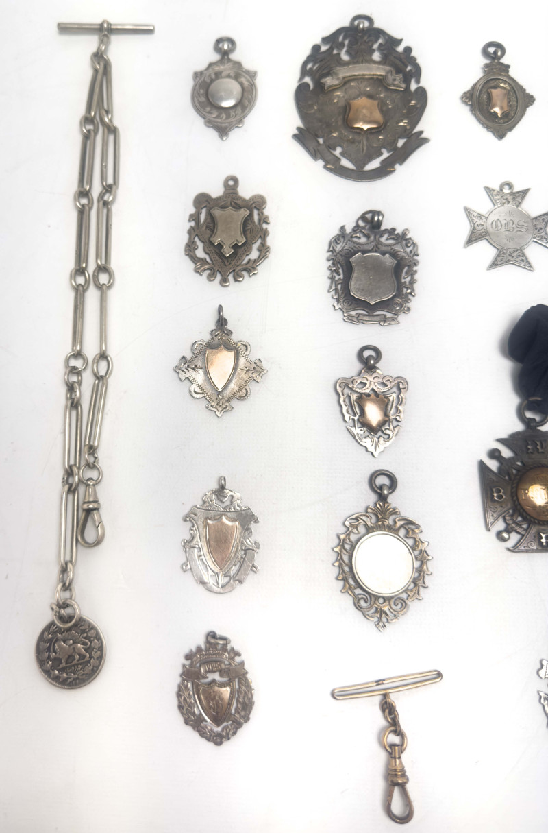 Charms and Watch Chains, Group of 16