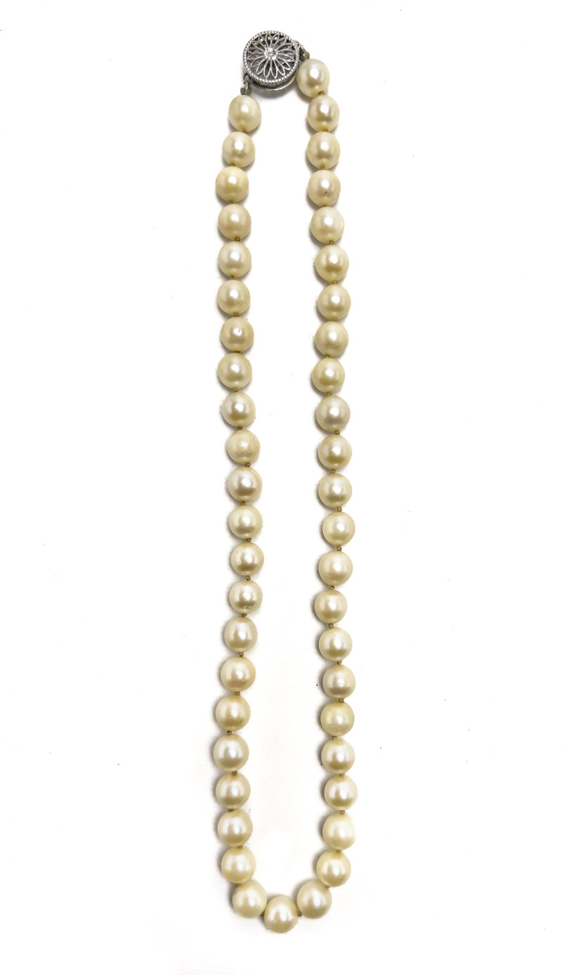 Pearl Necklace with White Gold Clasp
