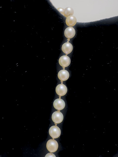 Pearl Necklace